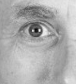 Dr Ian Mitchell